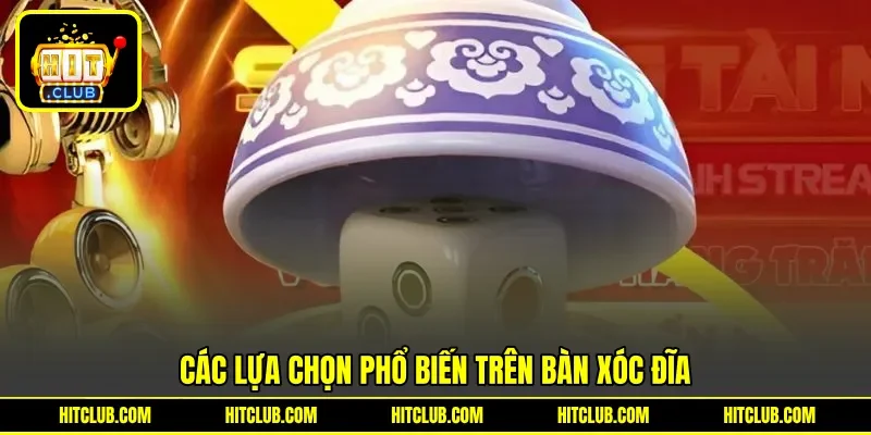 Các lựa chọn phổ biến trên bàn xóc đĩa