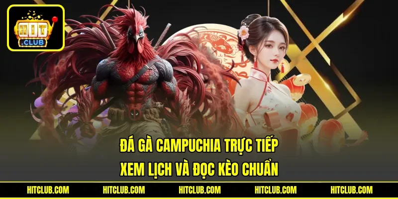 Đá Gà Campuchia Trực Tiếp - Xem Lịch Và Đọc Kèo Chuẩn