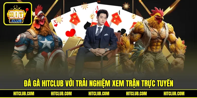 Đá gà HITCLUB với trải nghiệm xem trận trực tuyến Đá gà HITCLUB với trải nghiệm xem trận trực tuyến