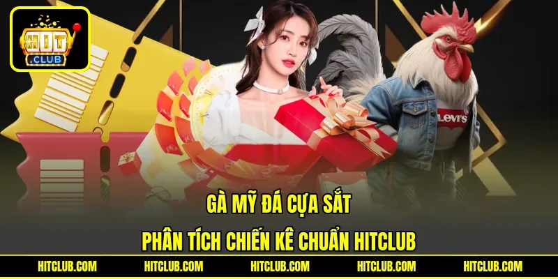 Gà Mỹ Đá Cựa Sắt - Phân Tích Chiến Kê Chuẩn HITCLUB