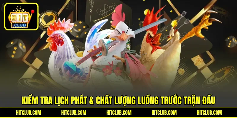Kiểm tra lịch phát & chất lượng luồng trước trận đấu Kiểm tra lịch phát & chất lượng luồng trước trận đấu
