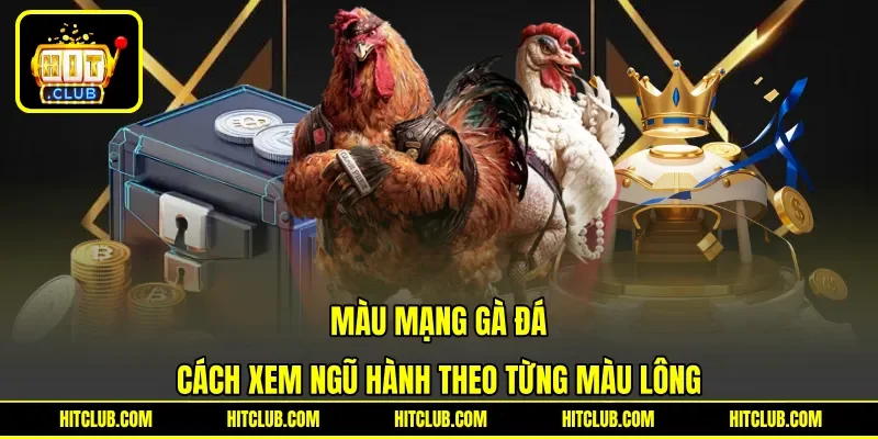 Màu Mạng Gà Đá - Cách Xem Ngũ Hành Theo Từng Màu Lông