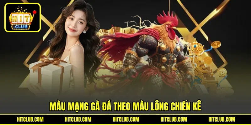Màu mạng gà đá theo màu lông chiến kê