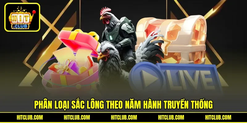 Phân loại sắc lông theo năm hành truyền thống