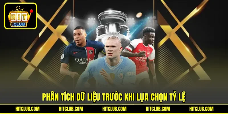 Phân tích dữ liệu trước khi lựa chọn tỷ lệ