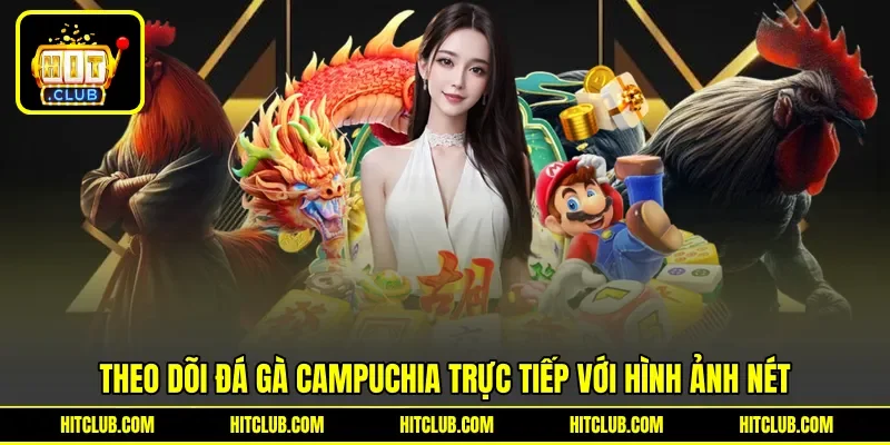 Theo dõi đá gà Campuchia trực tiếp với hình ảnh nét Theo dõi đá gà Campuchia trực tiếp với hình ảnh nét