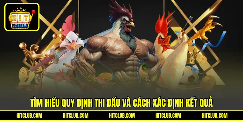Tìm hiểu quy định thi đấu và cách xác định kết quả