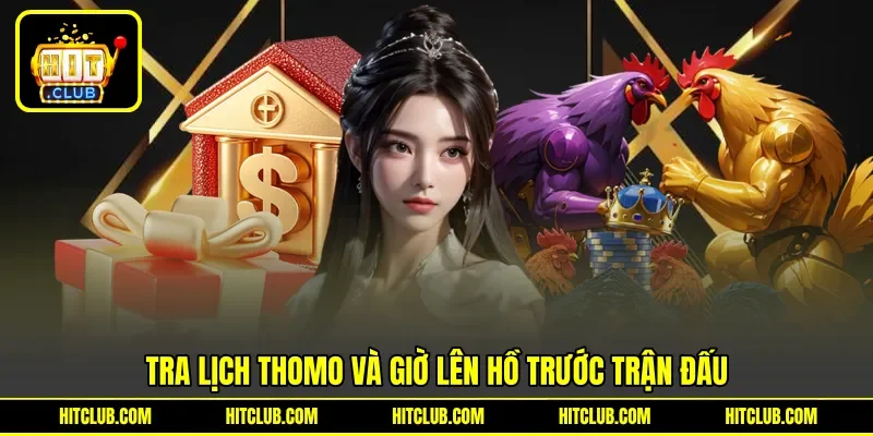Tra lịch Thomo và giờ lên hồ trước trận đấu Tra lịch Thomo và giờ lên hồ trước trận đấu