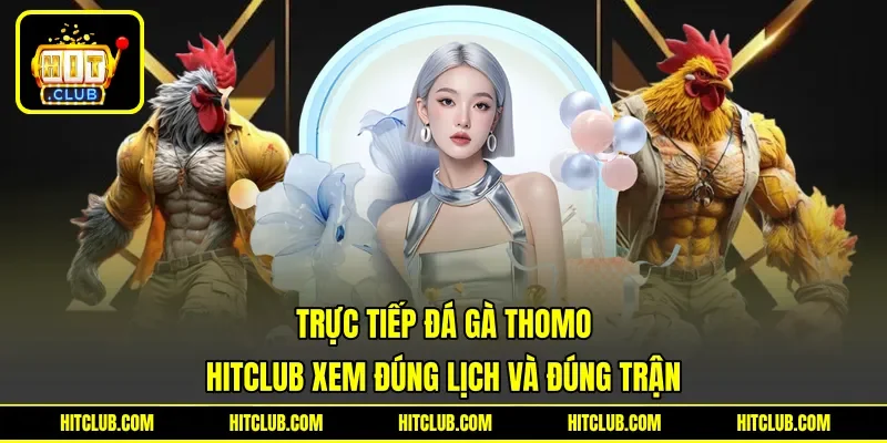 Trực Tiếp Đá Gà Thomo - HITCLUB Xem Đúng Lịch Và Đúng Trận
