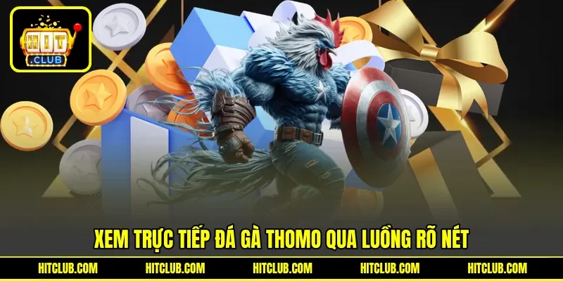 Xem trực tiếp đá gà Thomo qua luồng rõ nét Xem trực tiếp đá gà Thomo qua luồng rõ nét